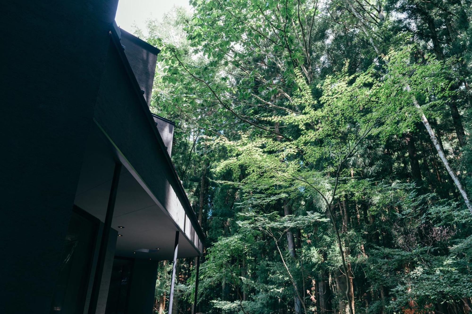 Villa Mysa Fuji Fujikawaguchiko Exterior foto